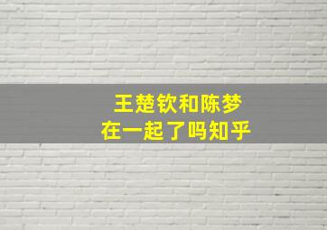 王楚钦和陈梦在一起了吗知乎