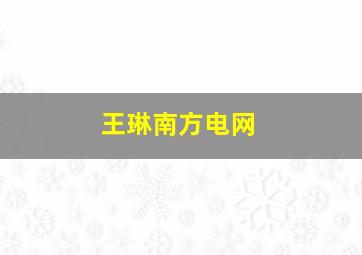 王琳南方电网