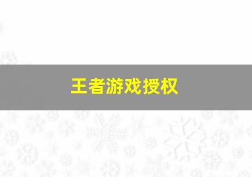 王者游戏授权