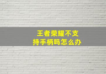 王者荣耀不支持手柄吗怎么办