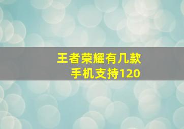 王者荣耀有几款手机支持120