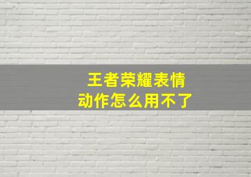 王者荣耀表情动作怎么用不了