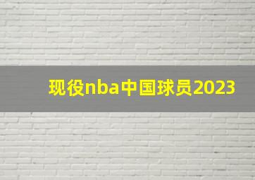 现役nba中国球员2023