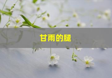 甘雨的腿