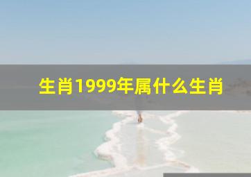 生肖1999年属什么生肖