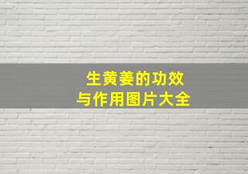 生黄姜的功效与作用图片大全