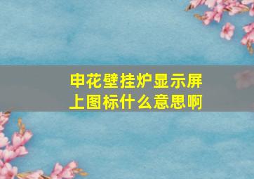 申花壁挂炉显示屏上图标什么意思啊