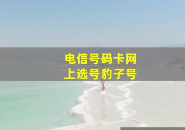 电信号码卡网上选号豹子号