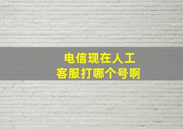 电信现在人工客服打哪个号啊