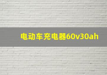 电动车充电器60v30ah