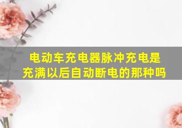 电动车充电器脉冲充电是充满以后自动断电的那种吗