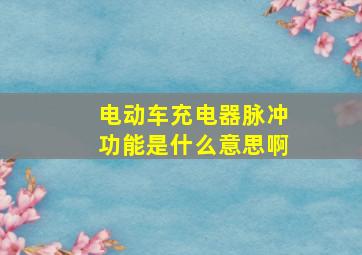 电动车充电器脉冲功能是什么意思啊