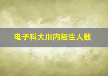 电子科大川内招生人数