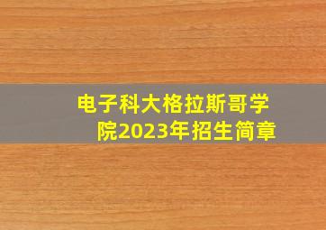 电子科大格拉斯哥学院2023年招生简章