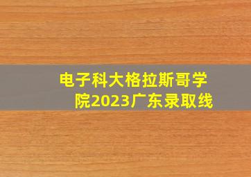 电子科大格拉斯哥学院2023广东录取线