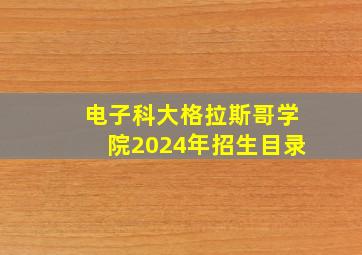 电子科大格拉斯哥学院2024年招生目录