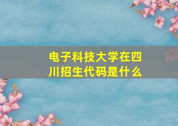 电子科技大学在四川招生代码是什么