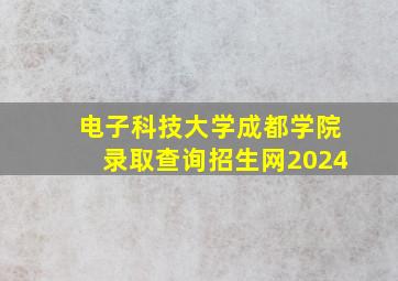 电子科技大学成都学院录取查询招生网2024