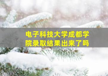 电子科技大学成都学院录取结果出来了吗