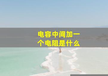 电容中间加一个电阻是什么