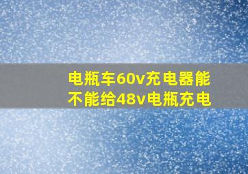 电瓶车60v充电器能不能给48v电瓶充电