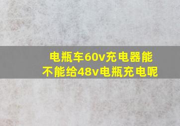 电瓶车60v充电器能不能给48v电瓶充电呢