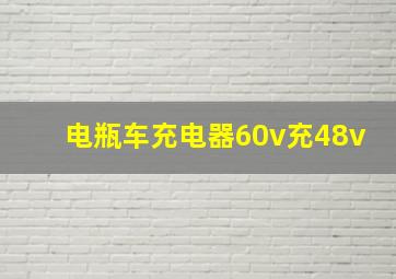 电瓶车充电器60v充48v