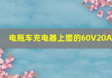 电瓶车充电器上面的60V20AH