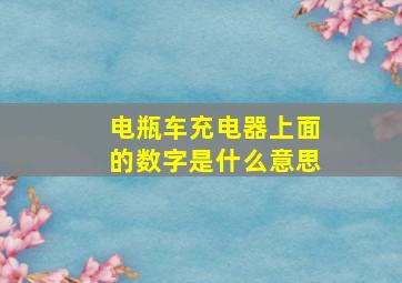 电瓶车充电器上面的数字是什么意思