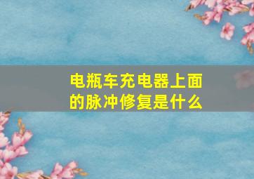 电瓶车充电器上面的脉冲修复是什么