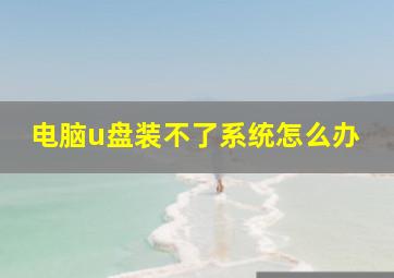 电脑u盘装不了系统怎么办