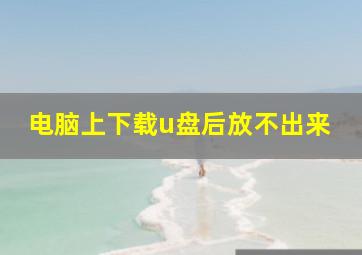 电脑上下载u盘后放不出来