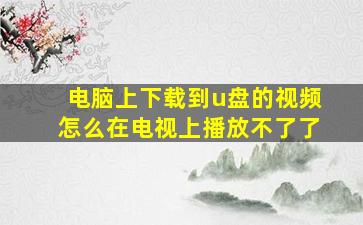 电脑上下载到u盘的视频怎么在电视上播放不了了