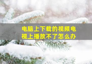 电脑上下载的视频电视上播放不了怎么办