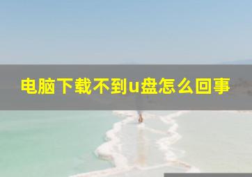 电脑下载不到u盘怎么回事