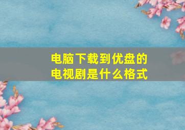 电脑下载到优盘的电视剧是什么格式