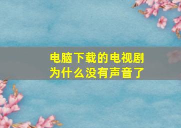 电脑下载的电视剧为什么没有声音了