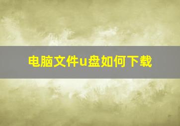 电脑文件u盘如何下载