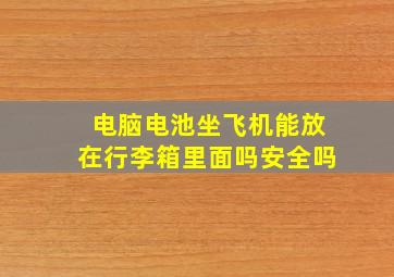 电脑电池坐飞机能放在行李箱里面吗安全吗