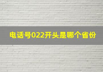 电话号022开头是哪个省份