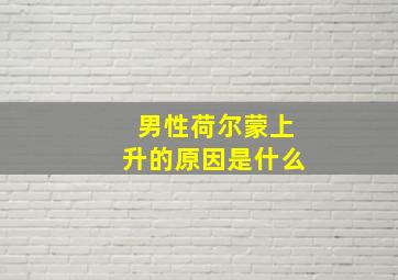 男性荷尔蒙上升的原因是什么