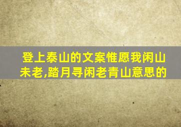 登上泰山的文案惟愿我闲山未老,踏月寻闲老青山意思的