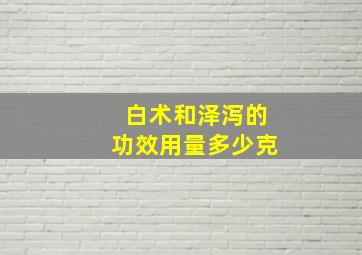 白术和泽泻的功效用量多少克