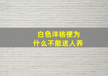 白色洋桔梗为什么不能送人养