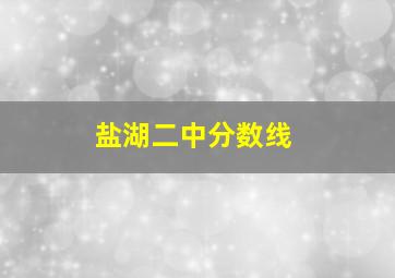 盐湖二中分数线