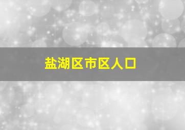 盐湖区市区人口