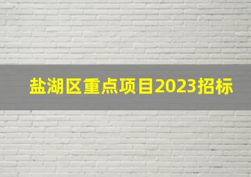 盐湖区重点项目2023招标