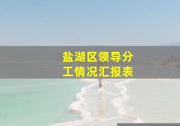 盐湖区领导分工情况汇报表