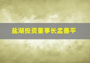 盐湖投资董事长孟善平