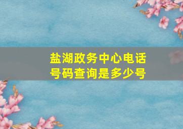 盐湖政务中心电话号码查询是多少号